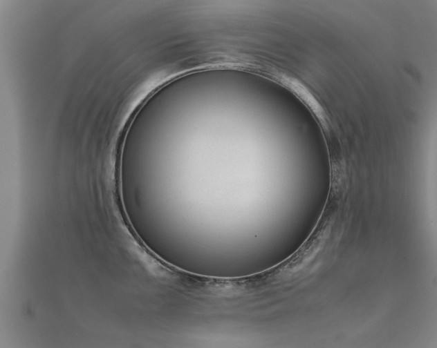 X0000112051099200908111344