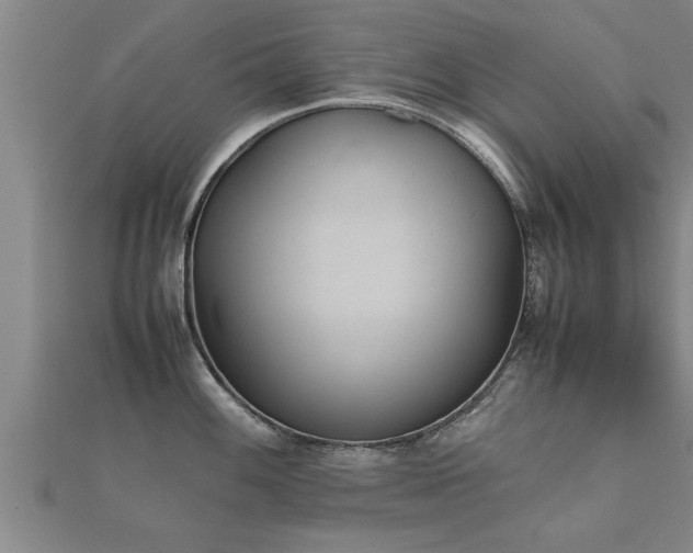 X0000112051100200908111344