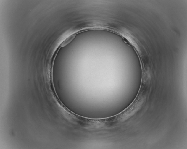 X0000112051101200908111344