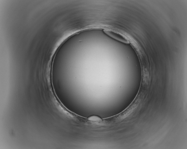 X0000112051102200908111344