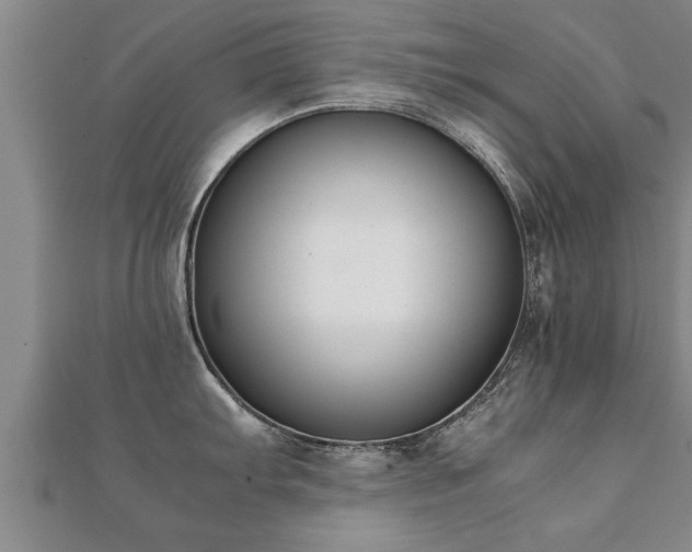 X0000112051103200908111344