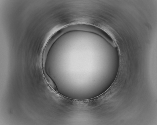 X0000112051104200908111344