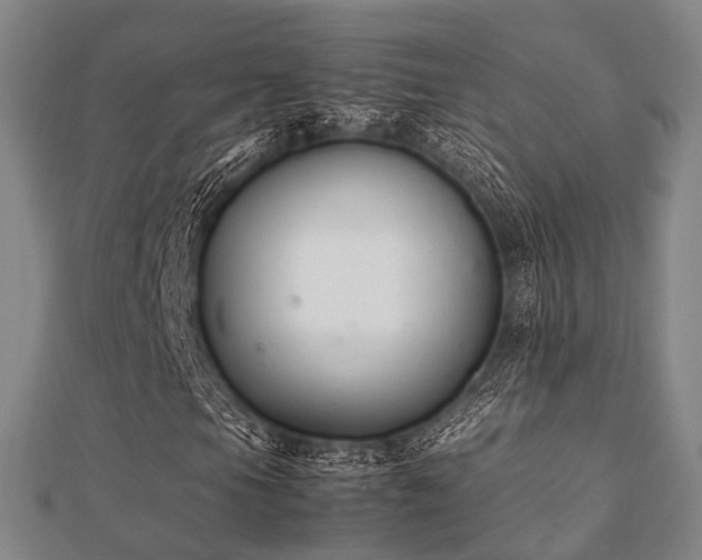 X0000112051105200908111343