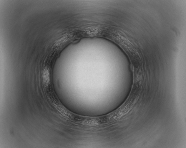 X0000112051106200908111343