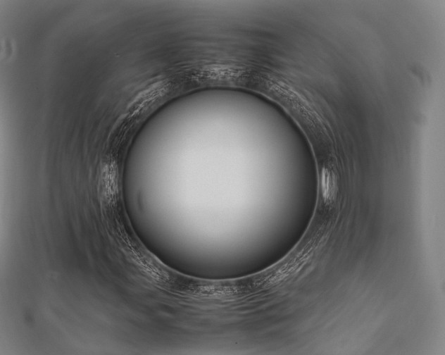 X0000112051107200908111343