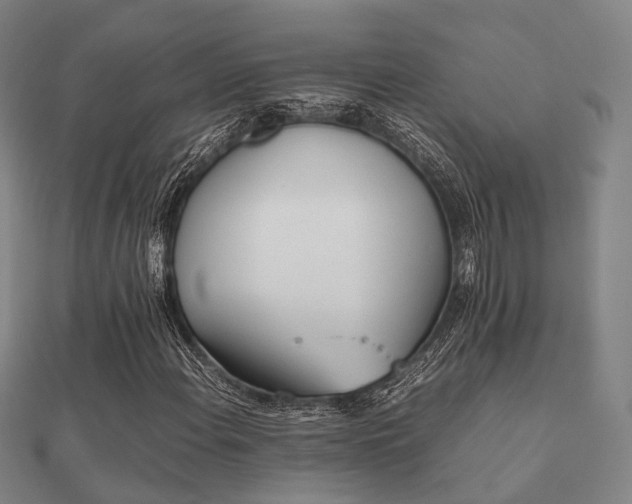 X0000112051108200908111343