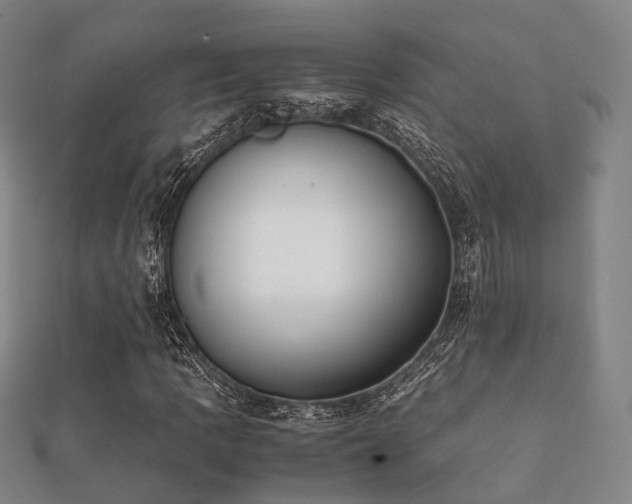 X0000112051109200908111343