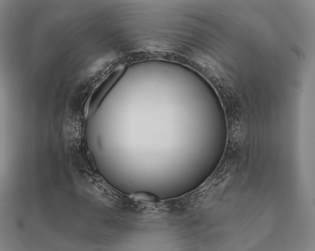 X0000112051110200908111343