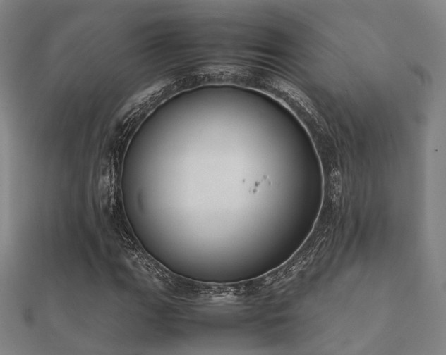 X0000112051111200908111344