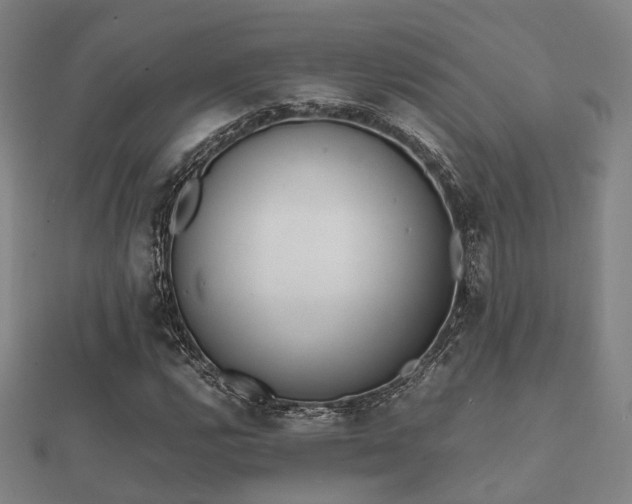 X0000112051112200908111344