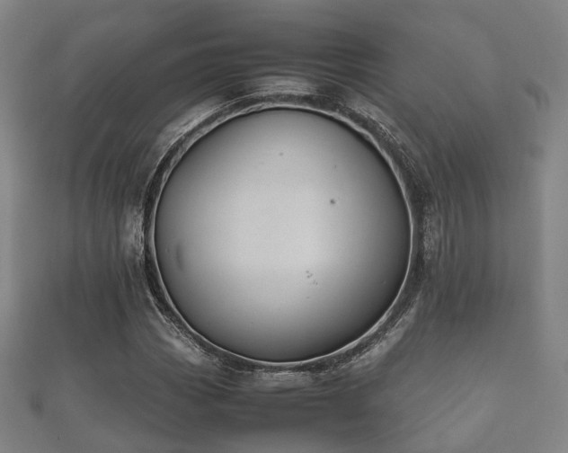 X0000112051113200908111344