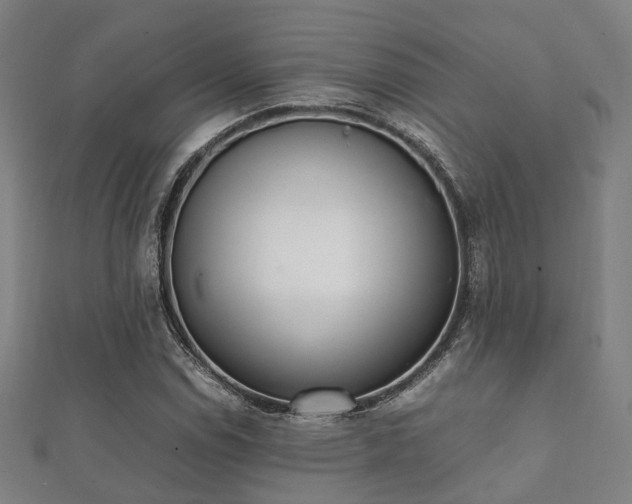 X0000112051114200908111344