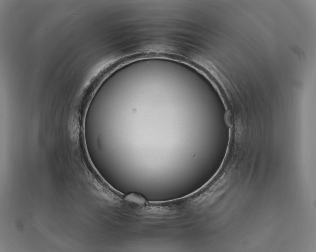 X0000112051115200908111344