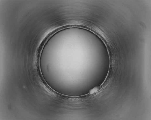 X0000112051116200908111344