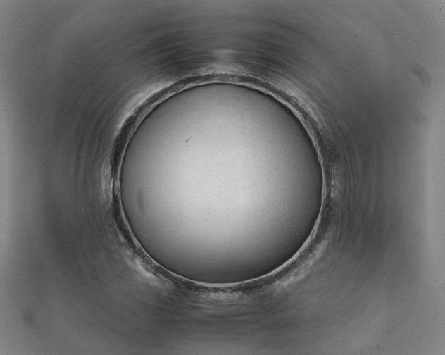 X0000112051117200908111344