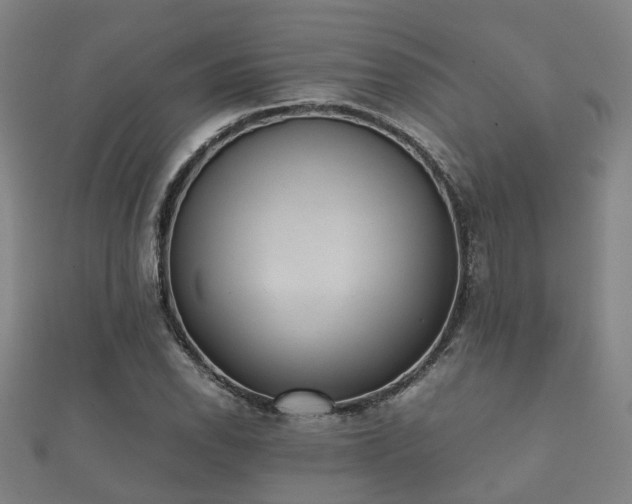 X0000112051118200908111344