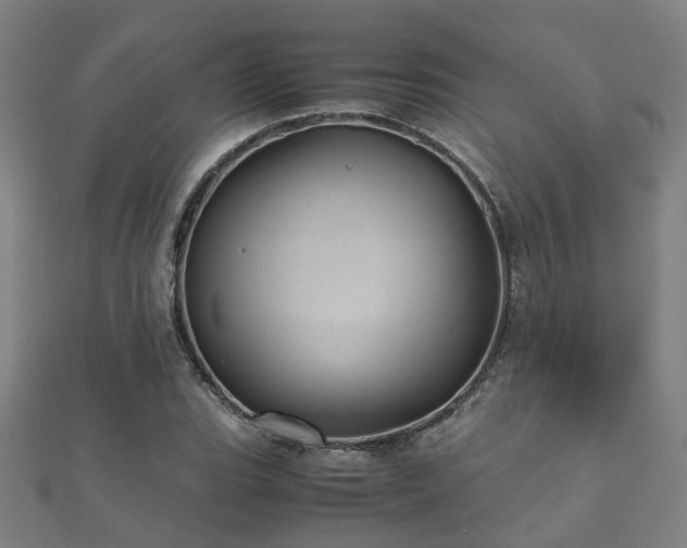 X0000112051119200908111344