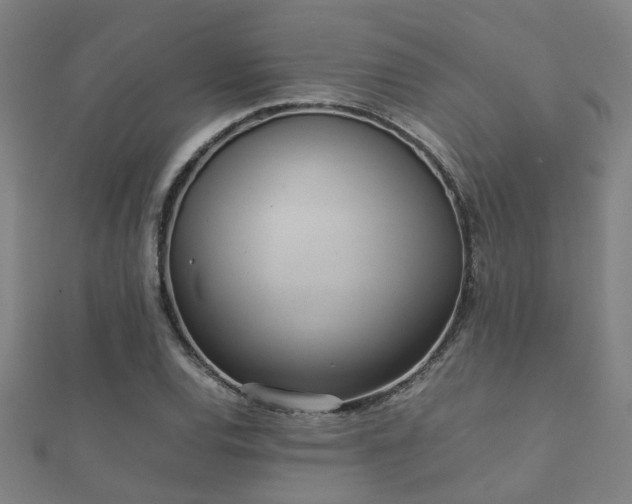 X0000112051120200908111344