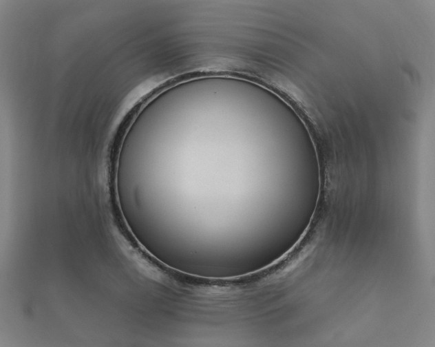 X0000112051122200908111344