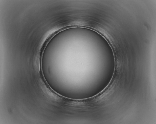 X0000112051123200908111344