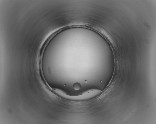 X0000112051124200908111344