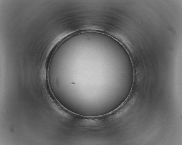 X0000112051125200908111344