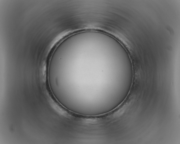 X0000112051126200908111344