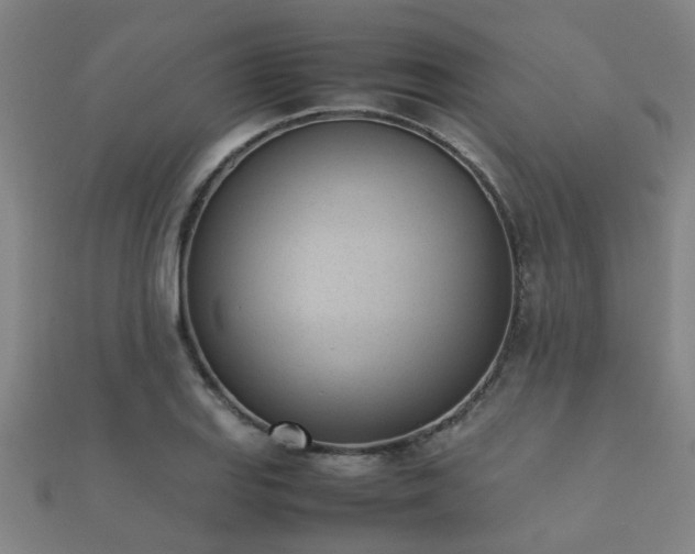 X0000112051127200908111344