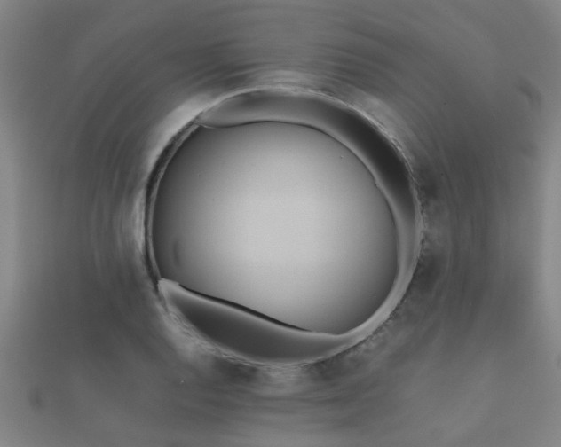 X0000112051128200908111344