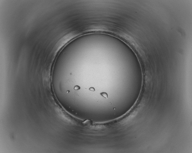 X0000112051129200908111344