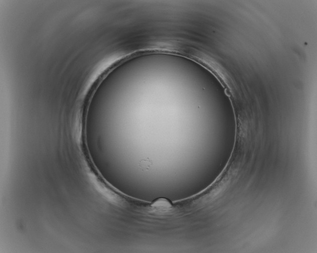 X0000112051131200908111344