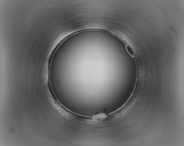 X0000112051132200908111344