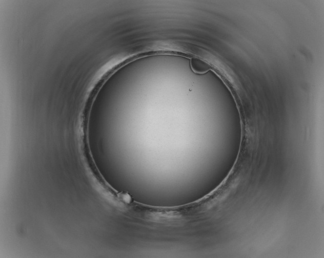 X0000112051133200908111344