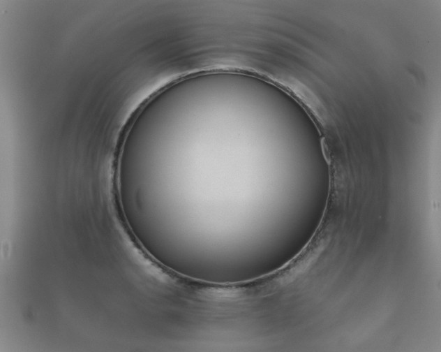 X0000112051134200908111344