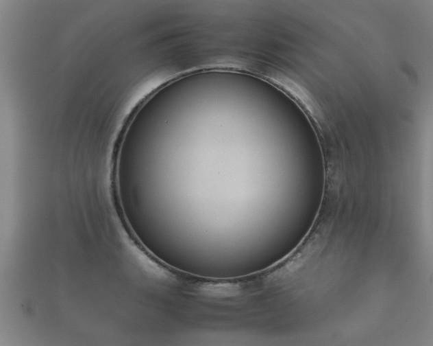 X0000112051135200908111344