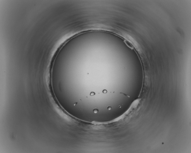 X0000112051136200908111344