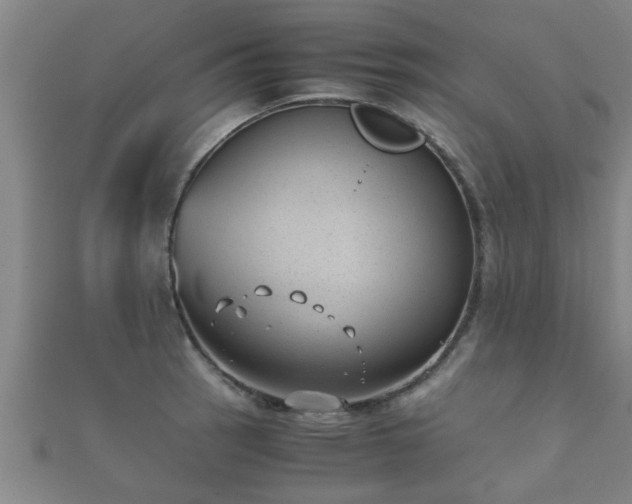 X0000112051137200908111344