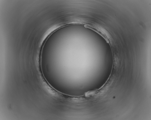 X0000112051138200908111344