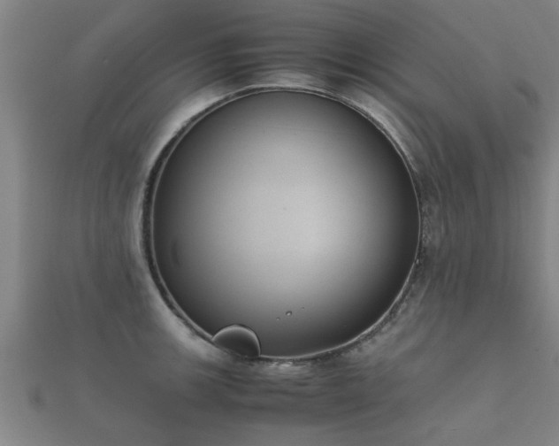 X0000112051139200908111344