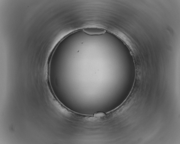 X0000112051140200908111344