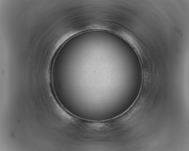 X0000112051141200908111344