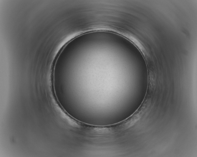 X0000112051142200908111344