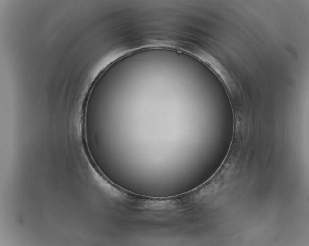 X0000112051143200908111344