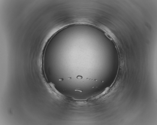 X0000112051144200908111344