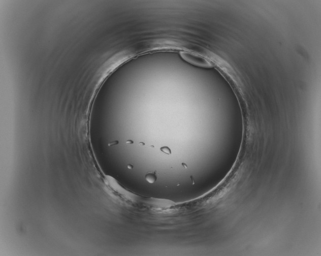 X0000112051145200908111344