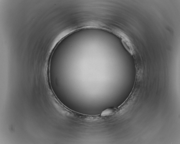 X0000112051146200908111344