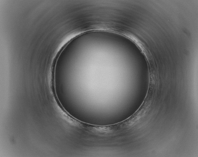 X0000112051147200908111344