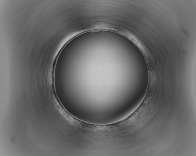 X0000112051148200908111344