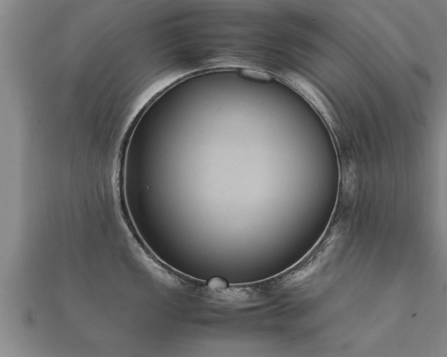 X0000112051149200908111344