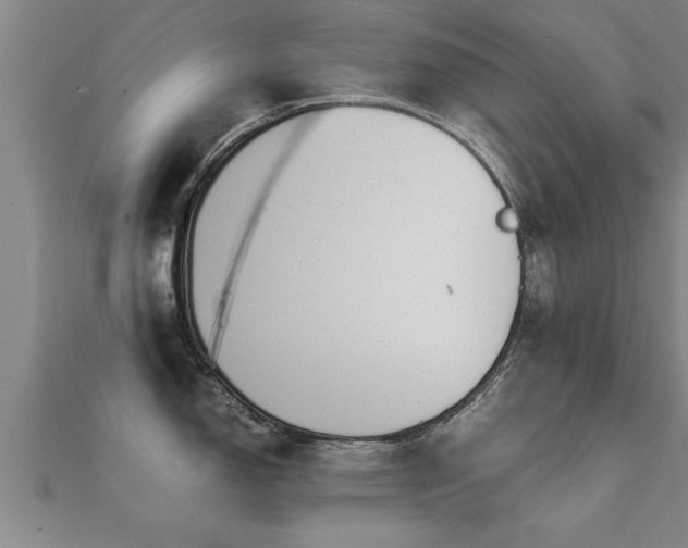 X0000112051150200908111344